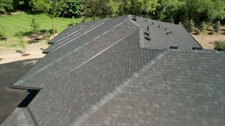 Best Solar Panel Roofing Installation  in Friendswood, TX